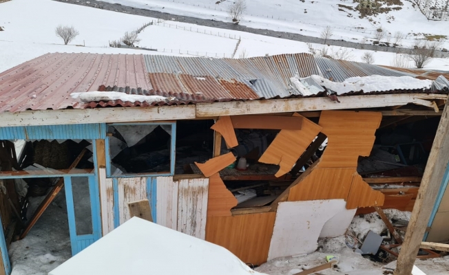 Kar kütlesi eve zarar verdi